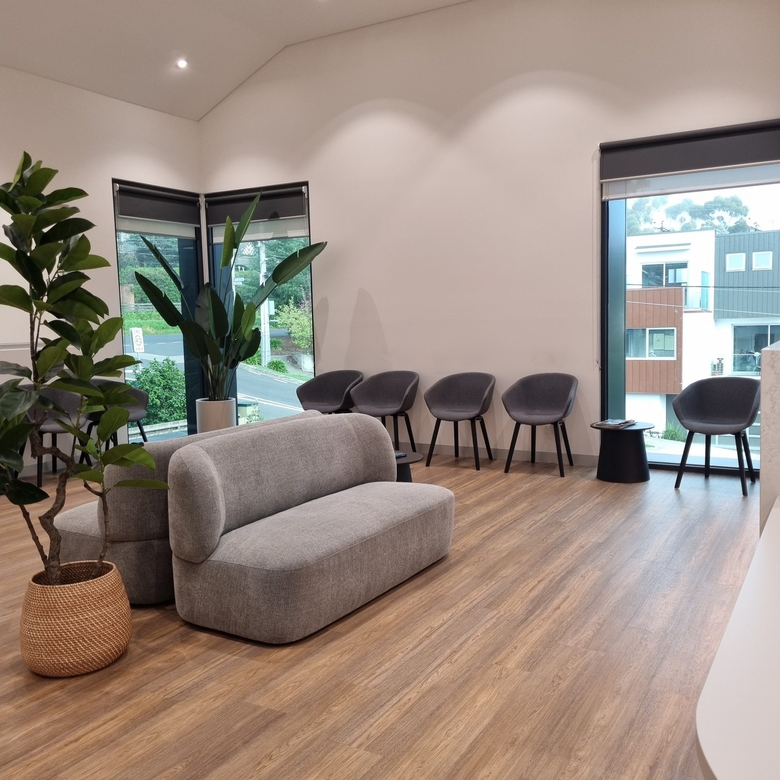 North Eastern Surgical waiting room — natural light and plants